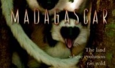 מדגסקר – עונה 1 תרגום מובנה