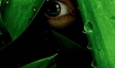 הנהר עונה 1 *תרגום מובנה* / The River לצפייה ישירה