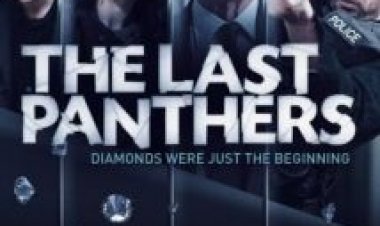 הפנתרים האחרונים עונה 1 תרגום מובנה / The Last Panthers לצפייה ישירה