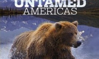 אמריקה הפראית תרגום מובנה לצפייה ישירה