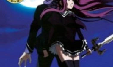 אביר קדוש תרגום מובנה לצפייה ישירה