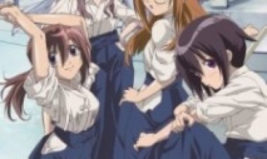 באמבו בלייד תרגום מובנה לצפייה ישירה