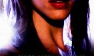 זהות בדויה עונה 2 תרגום מובנה לצפייה ישירה