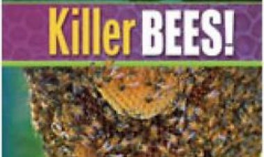 דבורות רצחניות – נשיונל גאוגרפיק תרגום מובנה