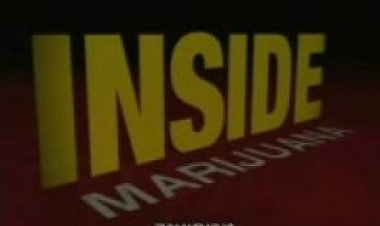 מריחואנה – תיעודי תרגום מובנה