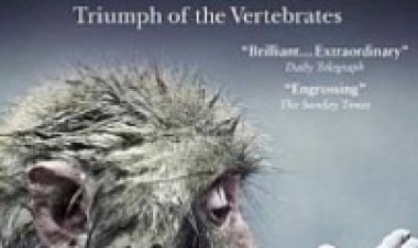 עליית בעלי החיים: ניצחון החולייתנים עונה 1 תרגום מובנה לצפייה ישירה