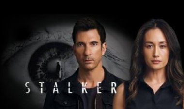 מטרידן עונה 1 פרק 1-18 תרגום מובנה לצפייה ישירה | Stalker 1 Par 1-18