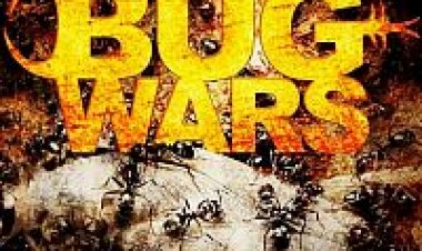 מלחמות החרקים המפלצתיים פרק 3 פרק 4 פרק 5 *תרגום מובנה* לצפייה ישירה