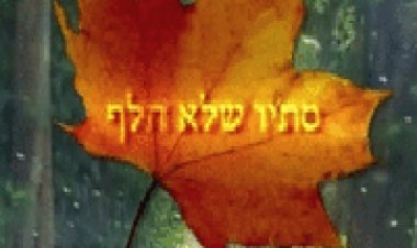 סתיו שלא חלף 2015