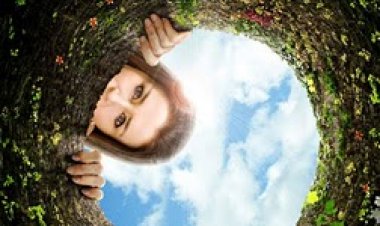 אליס 2009 תרגום מובנה חלק א וחלק ב לצפייה ישירה