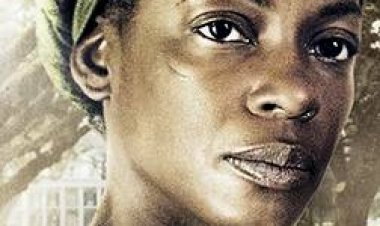 מישהו יודע את שמי עונה 1 תרגום מובנה The Book Of Negroes לצפייה ישירה