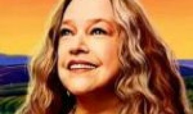 טיפול בג'וינט עונה 1 מתורגם לצפייה ישירה / Disjointed לצפייה ישירה