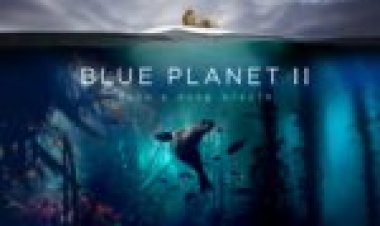 הכוכב הגדול 2 לצפייה ישירה מתורגם / Blue Planet II לצפייה ישירה