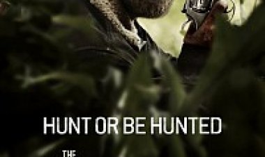 המתים המהלכים עונה 8 תרגום מובנה לצפייה ישירה לצפייה ישירה