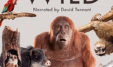 חיות ריגול עונה 1 מתורגם / Spy in the Wild לצפייה ישירה