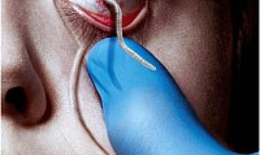 הנגיף הזנים עונה 4 לצפייה ישירה תרגום מובנה לצפייה ישירה