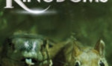 ממלכות נסתרות עונה 1 מתורגם / Hidden Kingdoms לצפייה ישירה