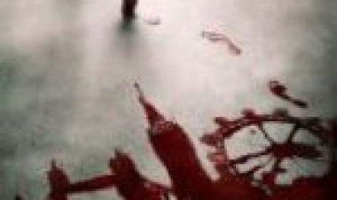 אשמה עונה 1 מתורגם לצפייה ישירה / Guilt לצפייה ישירה