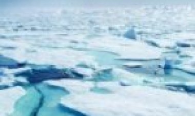 עולם קפוא עונה 1 תרגום מובנה / Frozen Planet לצפייה ישירה