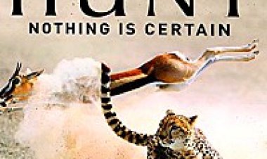 המצוד עונה 1 תרגום מובנה/ The Hunt 2015 לצפייה ישירה