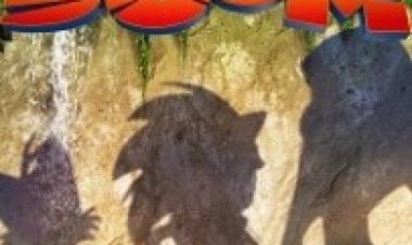 סוניק בום מדובב / Sonic Boom לצפייה ישירה