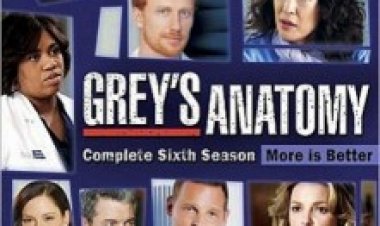 האנטומיה של גריי עונה 6 תרגום מובנה לצפייה ישירה | Grey's Anatomy 6