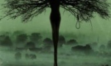 סיילם עונה 1 תרגום מובנה לצפייה ישירה