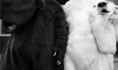 הקומיקאים עונה 1 תרגום מובנה לצפייה ישירה | The Comedians