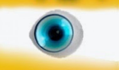 האח הגדול עונה 6 פרק 14