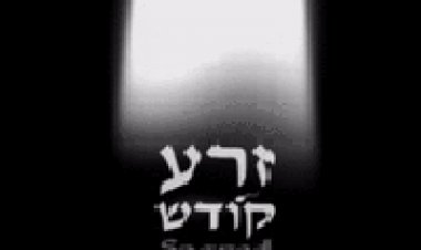 זרע קודש מסע אישי של הבמאי החרדי אור ישר הסרט 2014