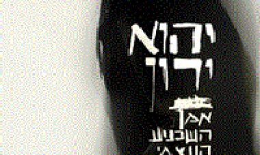 יהוא ירון – אמן השכנוע העצמי סרט ישראלי 2014