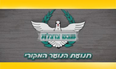 שבט צוצלת עונה 1 פרק 3