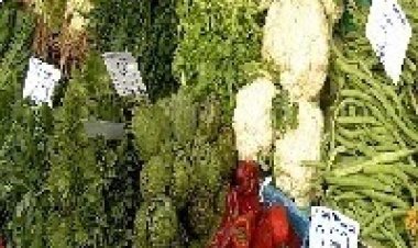 זהירות ירקות ! גלית גוטמן יוצרת לבדוק מה אנחנו נותנים לילדים שלנו לאכול