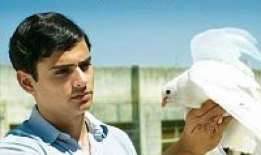 מפריח היונים *ישראלי* להורדה ולצפייה ישירה / The Dove Flyer 2014 – DVDRip