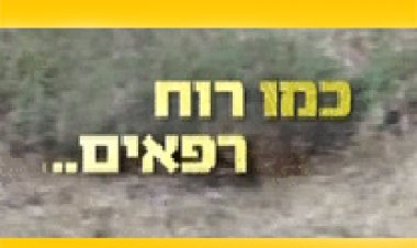 כמו רוח רפאים 2014 סרטו של מוטי קירשנבאום