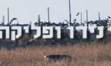 נירו ופליקה 2014