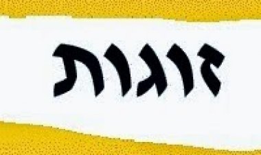 זוגות עונה 1 פרק 2