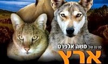 ארץ בראשית ישראלי *תרגום מובנה* להורדה ולצפייה ישירה / Eretz Bereishit 2010 – HDTV