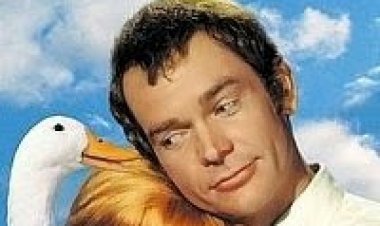 הברווז השווה מיליון *תרגום מובנה* להורדה ולצפייה ישירה / The Million Dollar Duck 1971 – DVDRip