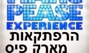 הרפתקאות מארק פיס *תרגום מובנה* להורדה ולצפייה ישירה / The Marc Pease Experience 2009 – DVDRip