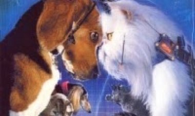 כלבים נגד חתולים 1 *מדובב לעברית* להורדה ולצפייה ישירה / Cats And Dogs 1 2001 – DVDRip