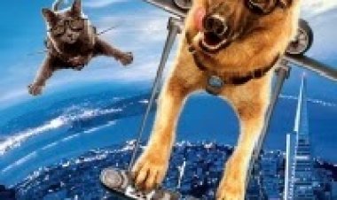 כלבים נגד חתולים 2: נקמתה של קיטי *מדובב לעברית* להורדה ולצפייה ישירה / Cats Dogs: The Revenge Of Kitty Galore 2010 – DVDRip