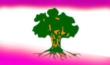 שלומי שבת – גולני שלי -סינגל חדש 2014