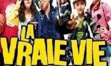 החיים האמיתיים של המורים *תרגום מובנה* להורדה ולצפייה ישירה / La vraie vie des profs 2013 – DVDRip