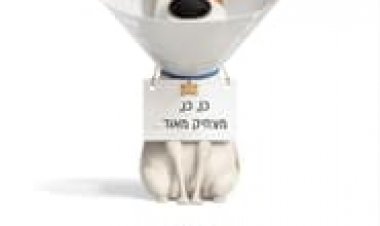 החיים הסודיים של חיות המחמד 2 לצפייה ישירה עם תרגום מובנה | The Secret Life of Pets 2