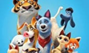 חבורת חיות המחמד לצפייה ישירה עם תרגום מובנה | Pets United