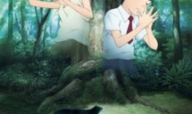 יער הפסנתר תרגום מובנה לצפייה ישירה