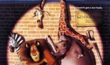 צפייה ישירה מדגסקר | Madagascar