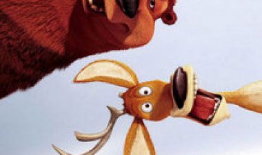 צפייה ישירה חברים על הכוונת | Open Seaso