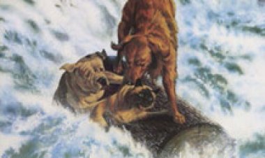 המסע המופלא הביתה לצפייה ישירה | Homeward.Bound.The.Incredible.Journey.HebDub